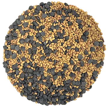 Mélange luzernette Germina