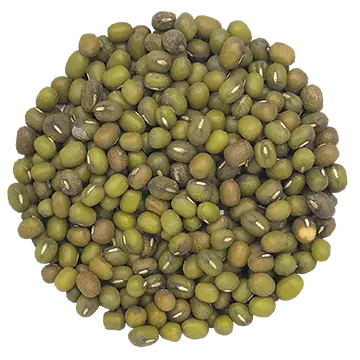 Fèves mung Germina