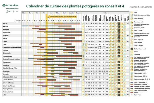 Calendrier de culture par zone