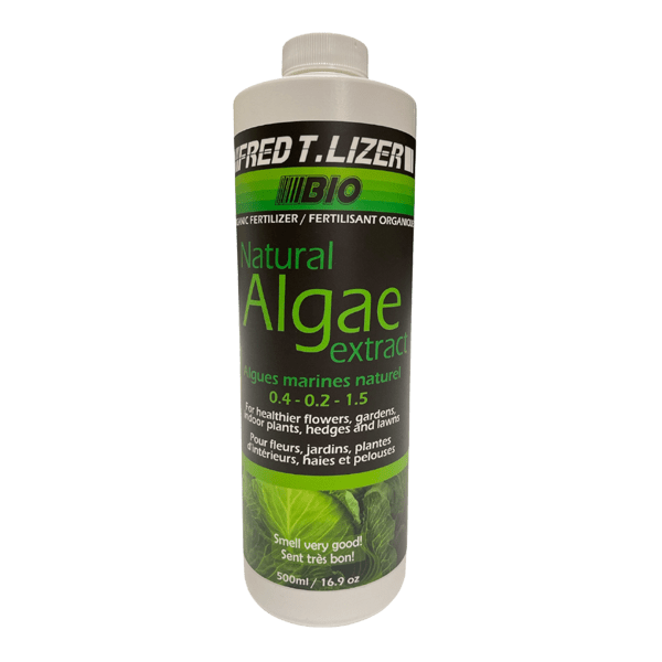 Engrais algue marine