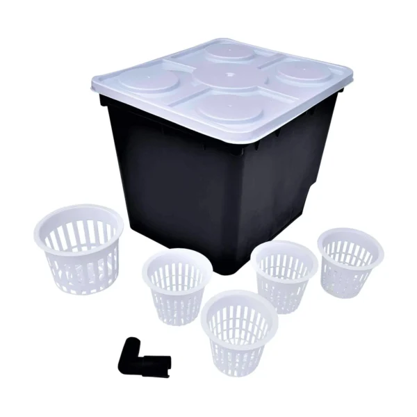 Dutch bucket 10 pack kit