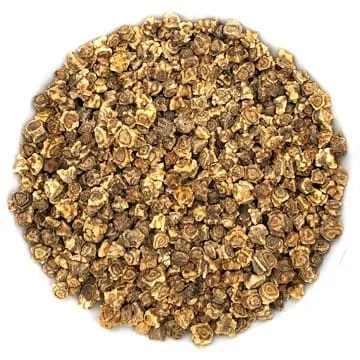 Betterave Jaune Germina