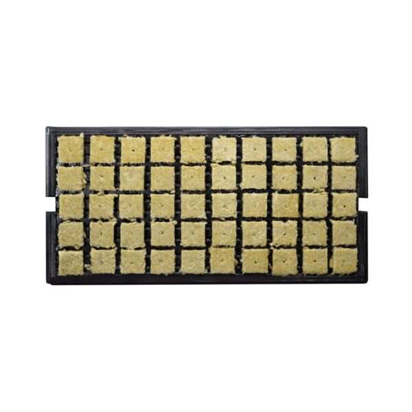 Grodan A-OK PLUGS 1.5'' 36 / 40 PLATEAU de 50