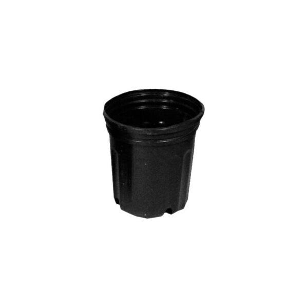 POT PÉPINIÈRE 600 6L (2 G)